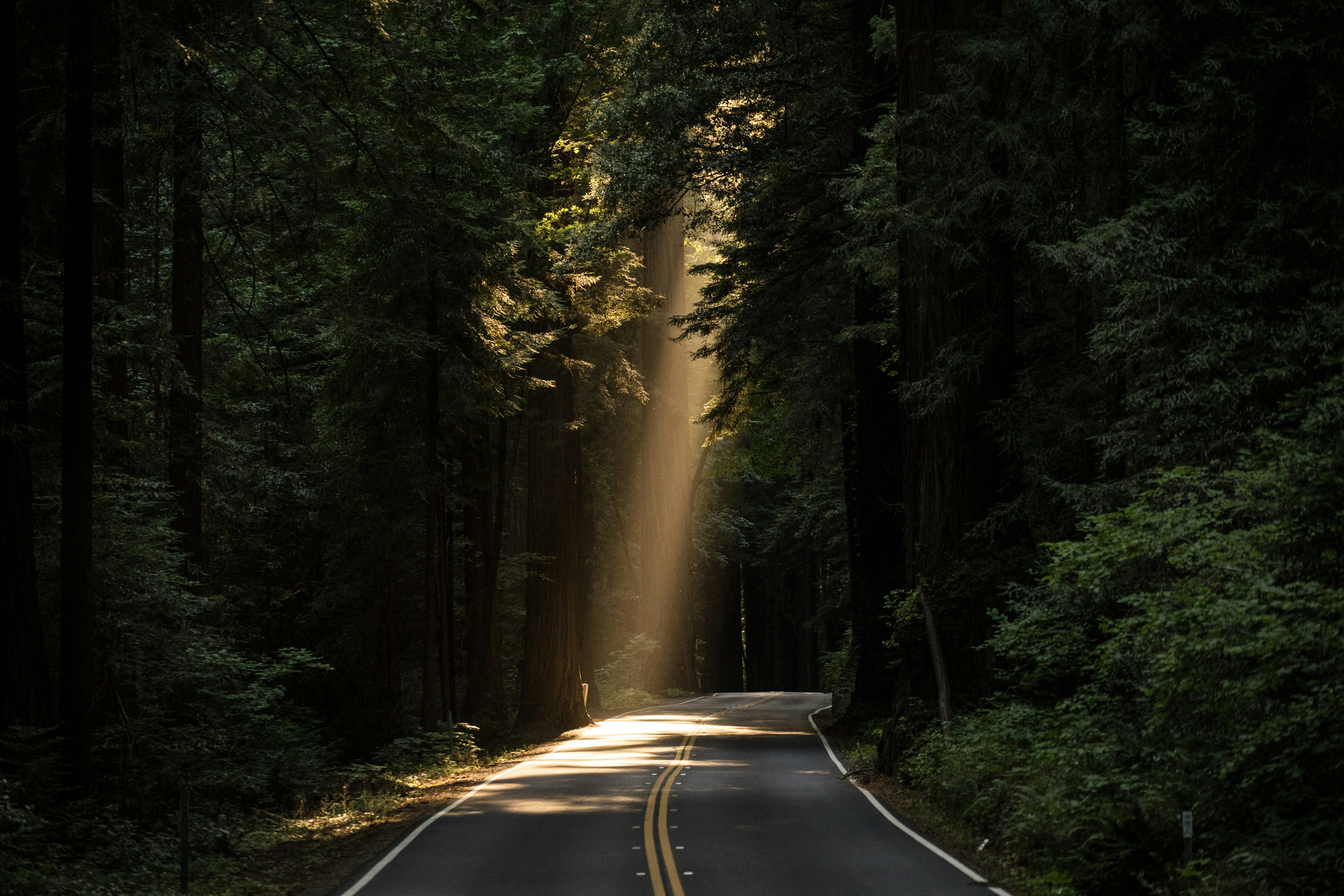 Roadmap: Turn Revision Chaos into a Clear Plan